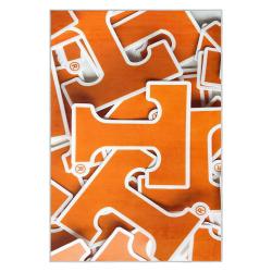 ncaa tennessee volunteers college basketball and football team logo sport carpet tv198
