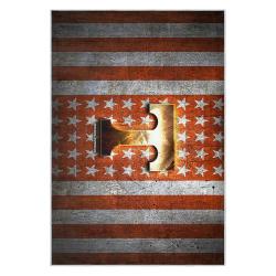 ncaa tennessee volunteers college basketball and football team logo sport carpet tv199