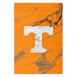 ncaa tennessee volunteers college basketball and football team logo sport carpet tv200