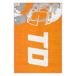 ncaa tennessee volunteers college basketball and football team logo sport carpet tv205