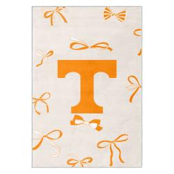 ncaa tennessee volunteers college basketball and football team logo sport carpet tv206