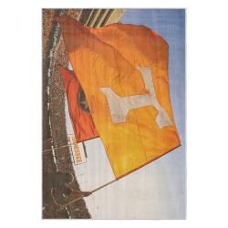 ncaa tennessee volunteers college basketball and football team logo sport carpet tv82