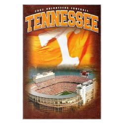 ncaa tennessee volunteers college basketball and football team logo sport carpet tv87