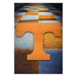 ncaa tennessee volunteers college basketball and football team logo sport carpet tv93