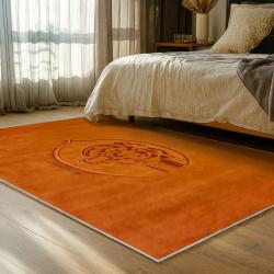 nfl chicago bears football team logo sport carpet area rug home decor bedroom cbw100