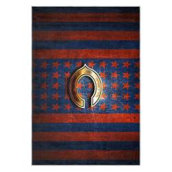 nfl chicago bears football team logo sport carpet area rug home decor gift cbw101