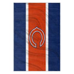 nfl chicago bears football team logo sport carpet area rug home decor gift cbw109