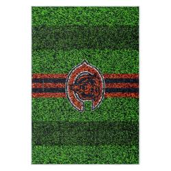 nfl chicago bears football team logo sport carpet area rug home decor gift cbw122
