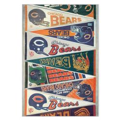 nfl chicago bears football team logo sport carpet area rug home decor gift cbw136