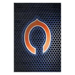 nfl chicago bears football team logo sport carpet area rug home decor gift cbw144