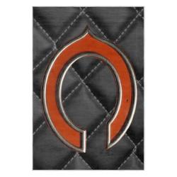 nfl chicago bears football team logo sport carpet area rug home decor gift cbw148