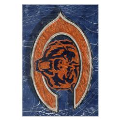 nfl chicago bears football team logo sport carpet area rug home decor gift cbw150