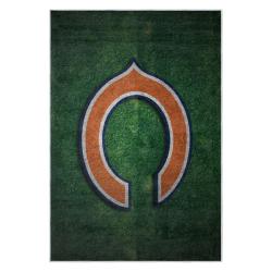 nfl chicago bears football team logo sport carpet area rug home decor gift cbw155