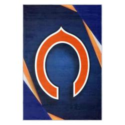 nfl chicago bears football team logo sport carpet area rug home decor gift cbw172