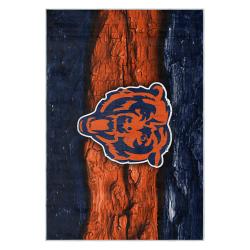 nfl chicago bears football team logo sport carpet area rug home decor gift cbw182