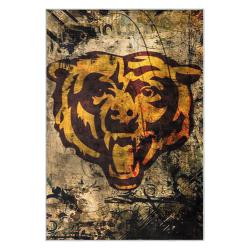 nfl chicago bears football team logo sport carpet area rug home decor gift cbw186
