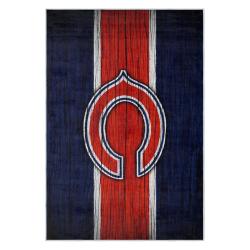 nfl chicago bears football team logo sport carpet area rug home decor gift cbw200