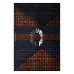 nfl chicago bears football team logo sport carpet area rug home decor gift cbw206
