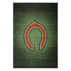 nfl chicago bears football team logo sport carpet area rug home decor gift cbw214