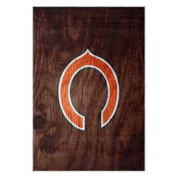 nfl chicago bears football team logo sport carpet area rug home decor gift cbw44