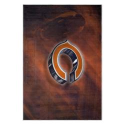 nfl chicago bears football team logo sport carpet area rug home decor gift cbw63