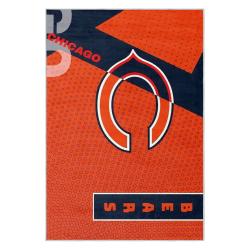 nfl chicago bears football team logo sport carpet area rug home decor gift cbw69