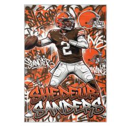 nfl cleveland browns area rug non slip football carpet home decor gift idea for fans clb124