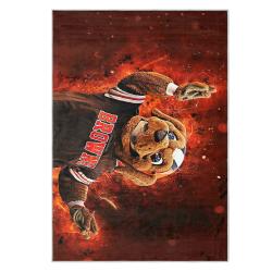 nfl cleveland browns area rug non slip football carpet home decor gift idea for fans clb148