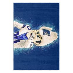 nfl dallas cowboys football team logo sport carpet area rug home decor gift fans dcb109