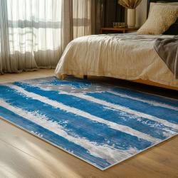 NFL Detroit Lions Football Team Logo Sport Carpet Area Rug Home Decor Gift For Fans DLW130