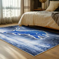 NFL Detroit Lions Football Team Logo Sport Carpet Area Rug Home Decor Gift For Fans DLW131