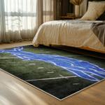 nfl detroit lions football team logo sport carpet area rug home decor bed room dlw136