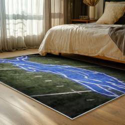 NFL Detroit Lions Football Team Logo Sport Carpet Area Rug Home Decor Gift For Fans DLW136