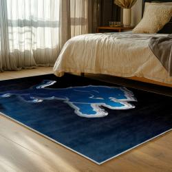 NFL Detroit Lions Football Team Logo Sport Carpet Area Rug Home Decor Gift For Fans DLW146