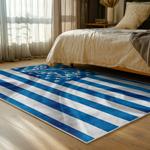 nfl detroit lions football team logo sport carpet area rug home decor bed room dlw153