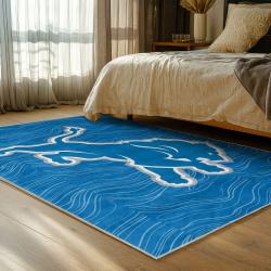 NFL Detroit Lions Football Team Logo Sport Carpet Area Rug Home Decor Gift For Fans DLW195