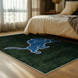 NFL Detroit Lions Football Team Logo Sport Carpet Area Rug Home Decor Gift For Fans DLW202