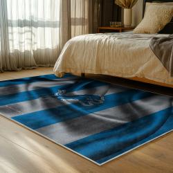 NFL Detroit Lions Football Team Logo Sport Carpet Area Rug Home Decor Gift For Fans DLW214