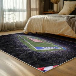 NFL Detroit Lions Football Team Logo Sport Carpet Area Rug Home Decor Gift For Fans DLW226