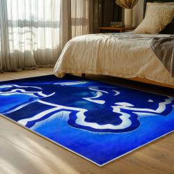 NFL Detroit Lions Football Team Logo Sport Carpet Area Rug Home Decor Gift For Fans DLW36