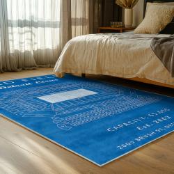 NFL Detroit Lions Football Team Logo Sport Carpet Area Rug Home Decor Gift For Fans DLW55