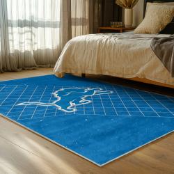 NFL Detroit Lions Football Team Logo Sport Carpet Area Rug Home Decor Gift For Fans DLW58