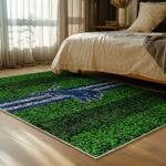 nfl detroit lions football team logo sport carpet area rug home decor bed room dlw85