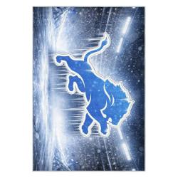 nfl detroit lions football team logo sport carpet area rug home decor gift for fans dlw131