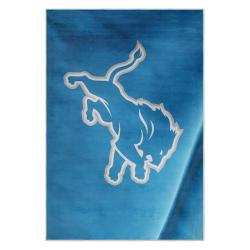 nfl detroit lions football team logo sport carpet area rug home decor gift for fans dlw135