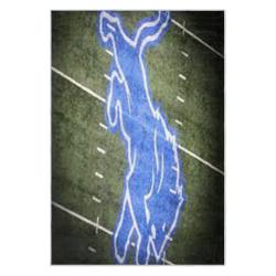 nfl detroit lions football team logo sport carpet area rug home decor gift for fans dlw136