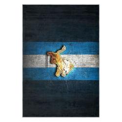 nfl detroit lions football team logo sport carpet area rug home decor gift for fans dlw154