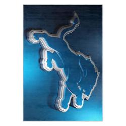 nfl detroit lions football team logo sport carpet area rug home decor gift for fans dlw156