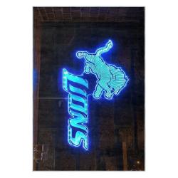 nfl detroit lions football team logo sport carpet area rug home decor gift for fans dlw159