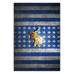 nfl detroit lions football team logo sport carpet area rug home decor gift for fans dlw168